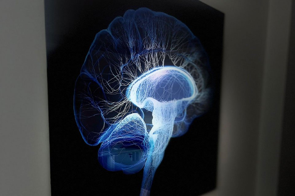 Hipnoz ve Halüsinasyonn